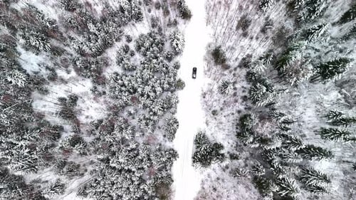 Car Driving on Snowy Road Through Winter Forest Aerial