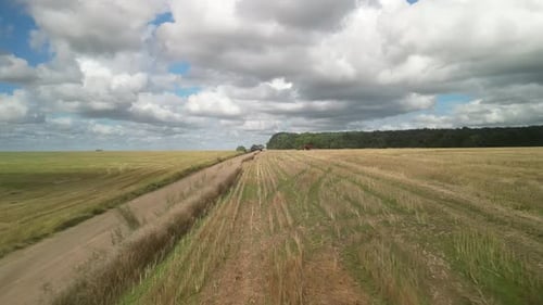 Canola field aerial view in Ukraine