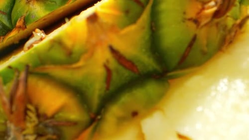 Pineapple Slice in mesmerizing macro video
