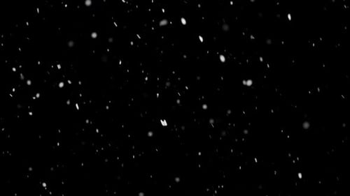 Realistic Winter Snowfall Particles Animated Background
