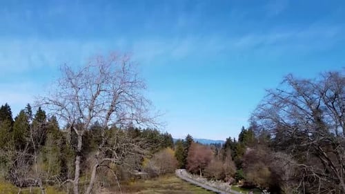 Aerial Pan to right of a mountain alley park pathway leading to a Lagoon. During spring season with