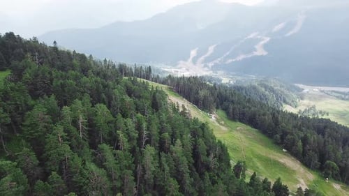 Üppiger grüner Wald bedeckt einen Berghang
