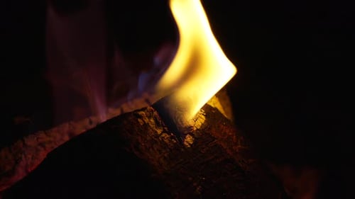 Fire Burning Brightly on a Wooden Log