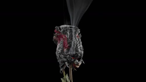 Burning Rose with Smoke on Black Background