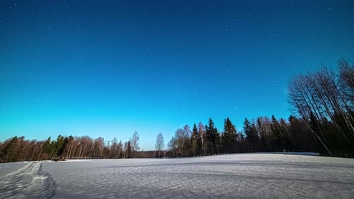 Étoiles orbitant dans le ciel nocturne au-dessus de bois enneigés ; Laps de temps de nuit à jour