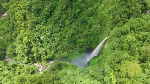Aerial View of Lush Rainforest Waterfall