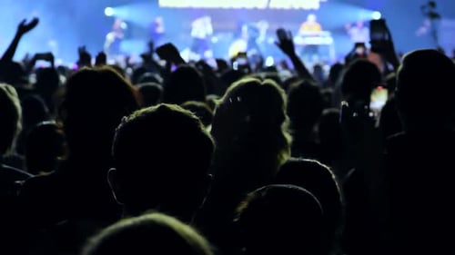 Cheering Crowd at a Live Music Concert Raising Hands in Audience Recording Performance