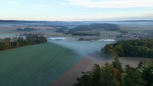 Morning Landscape In Fog