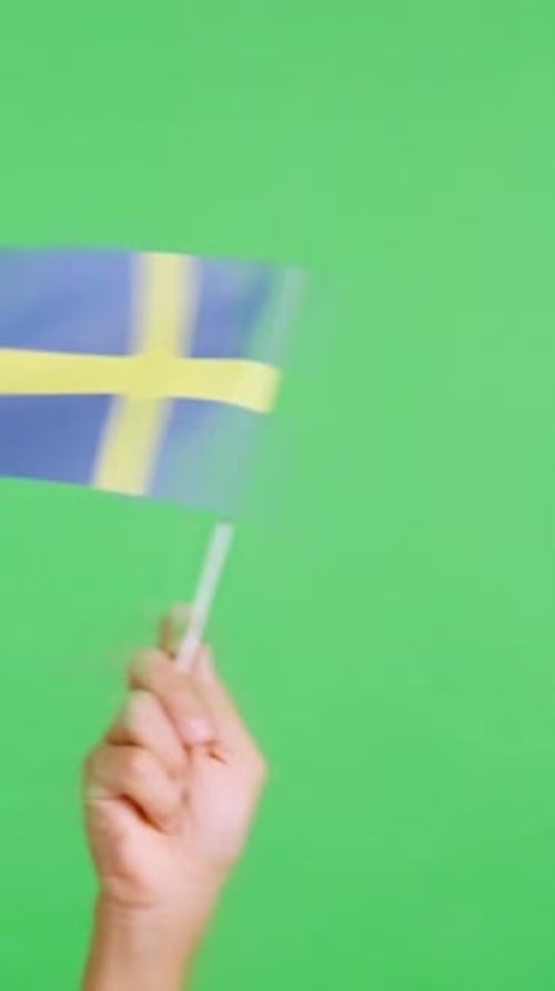 Hand Waving a Pennant of a Swedish National Flag