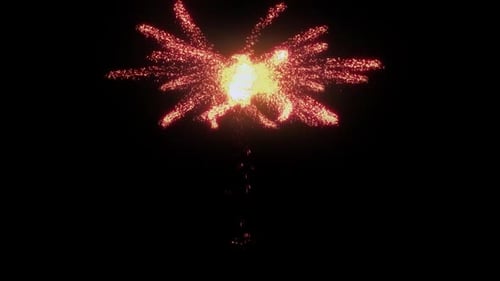 Sparkling Red Firework Particle Explosion Reveal