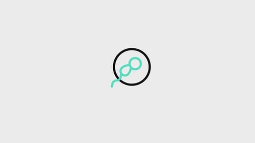 Fertilization Animated Icon