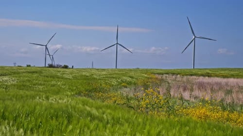 Wind Turbines Turning in Green Field Under Blue Sky