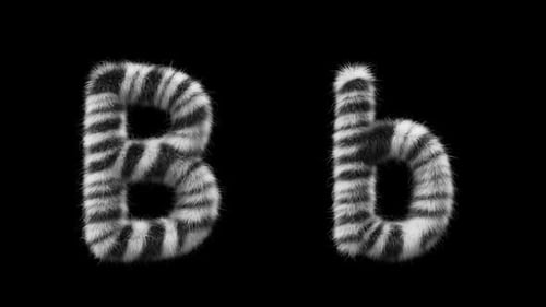 Animação 3D de uma letra de lã Zebra maiúscula e minúscula B