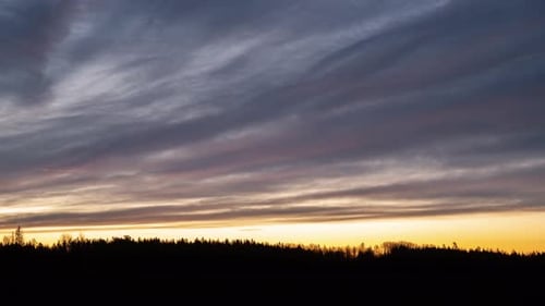 Colorful Sunset Sky over Dark Trees