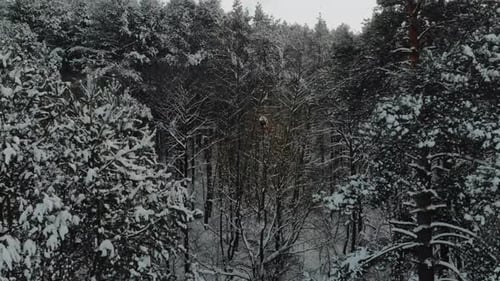 Drohne erhebt sich