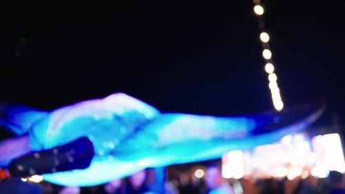 Wide Shot of Crowd at Night with Lights