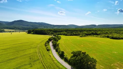Scenic road through green fields. A winding road curves through lush green fields under