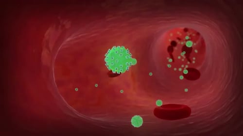 Medical Animation: Viruses and Red Blood Cells in Bloodstream
