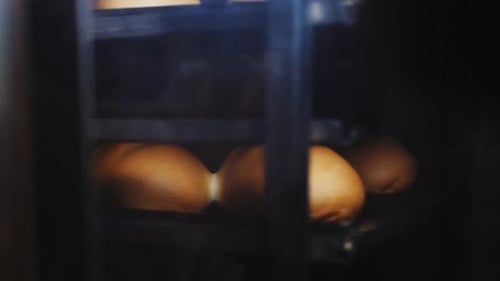 Fresh Bread Loaves Baked on Rack in Oven at Bakery Closeup