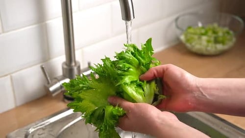 Washing Fresh Green Salad Leaves Under the Faucet in Stylish Kitchen Sink Splashes Scatter to the