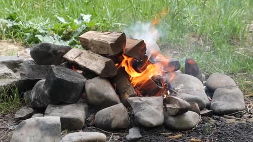 F181. Open fire. Cooking meat on a picnic.
