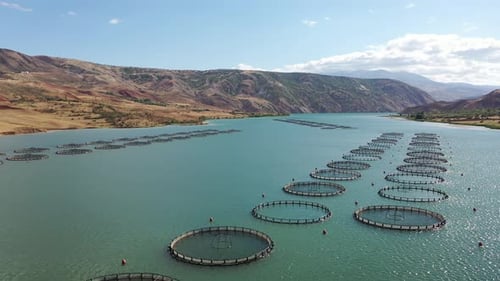 Aerial View Of Fish Ponds And Coastal Hills In The Dam Lake 2