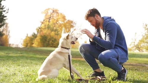 Closeup of a Happy Man with His Beloved Dog on a Sunny Autumn Day in the Park