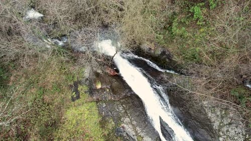 Waterfall in the Forest