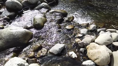 Slow Motion Footage of Clear Fresh Water Flowing Over River Stones in Nature