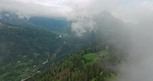 Paysage de forêt alpine Pins luxuriants sur les pentes des montagnes avec couverture nuageuse