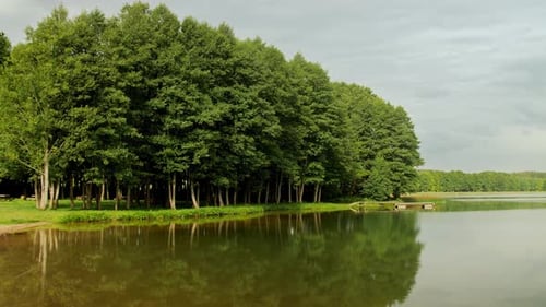 Calm summer landscape of forest lake