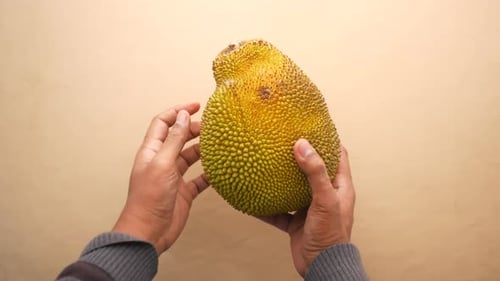 Men Holding a Jackfruit Top View