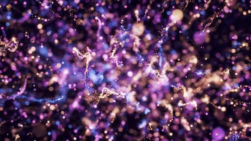 Magic Particles in DoF