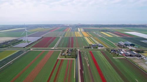 Turbines éoliennes dans un champ vert