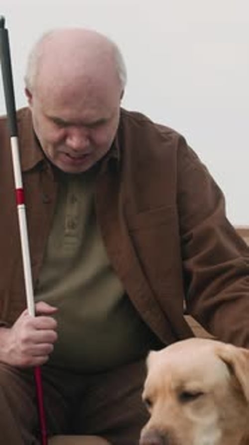 Man Pets His Guide Dog on Park Bench