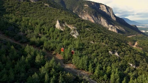 Red Gondolas Ascending Green Mountain Slope