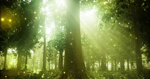 Mysterious Forest Ambiance with Glowing Elements During Golden Hour