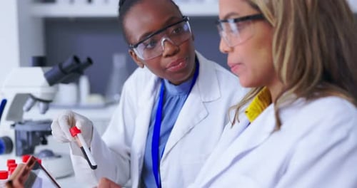 Two Women Scientists Analyzing Samples in Laboratory