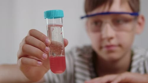 Boy Examining Chemical Reaction in Test Tube Closely