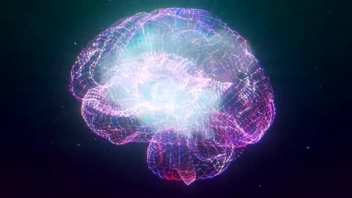 Animated Wireframe Brain with Pulsating Neural Network