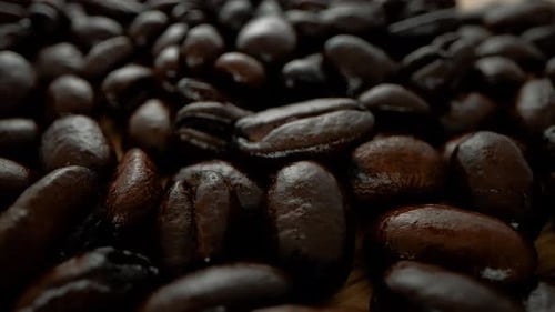Close-Up of Shiny Roasted Coffee Beans
