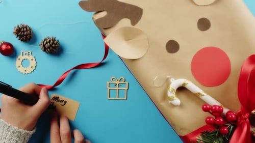 Crafting Holiday Cheer: Wrapping Christmas Gift with Reindeer Theme