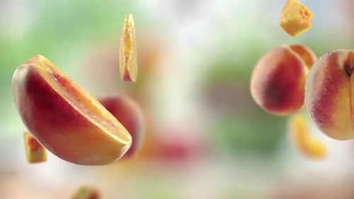 Flying Peach and Peaches Slices in Green Garden Orchard Shiny Background