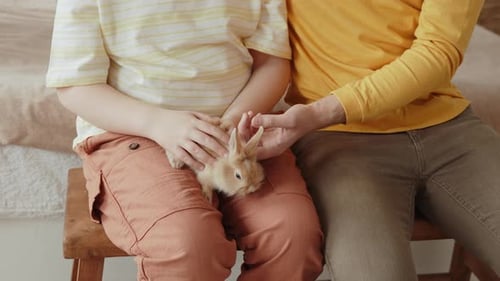Child Petting a Cute Rabbit with an Adult