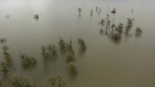 Trees Submerged In Water From Flooded River In Coquille Valley, Oregon, USA - Drone, Tilt-up
