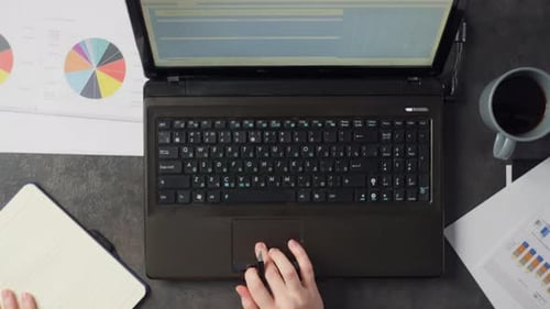 Morning Desk in the Office with a Cup of Coffee and Female Hands Typing