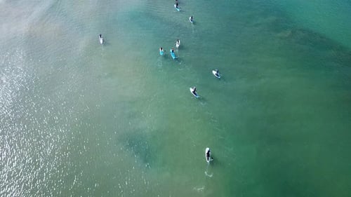 SUP surfers paddling along a Mediterranean coast
