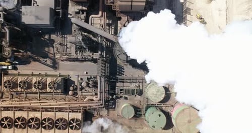 Sugarcane plant producing renewable energy. Ethanol industry. Alcohol.