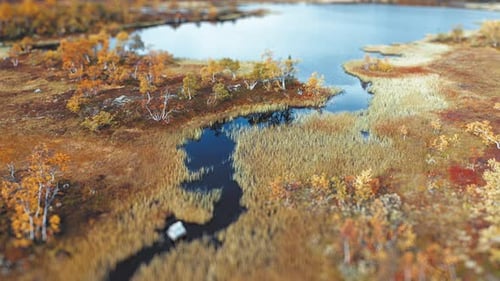 A calm river winding through a landscape of autumn foliage, showcasing the season's beauty.