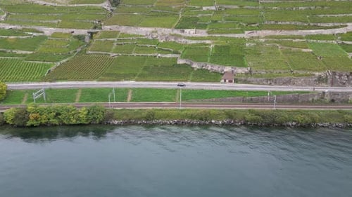 aerial view of lavaux vineyards in switzerland, next to geneva alpine lake